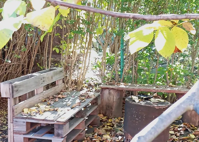 Casa De Sub Nuc Vila Kluž